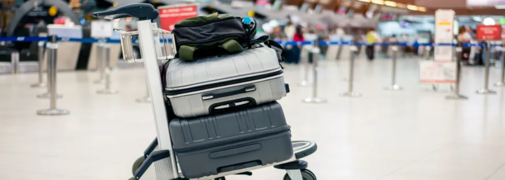 What size luggage is allowed on Delta Air Lines?