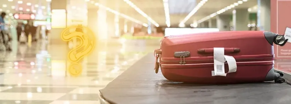 Lost or Delayed Luggage: Essential Steps to Take and Prevention Tips