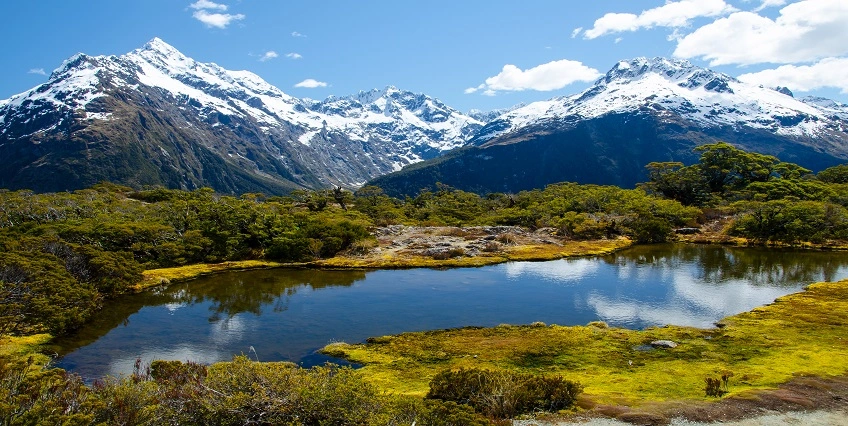 What are the precious gems in New Zealand? and How to Get There