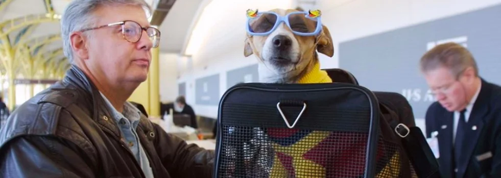 What is the most pet friendly airline?