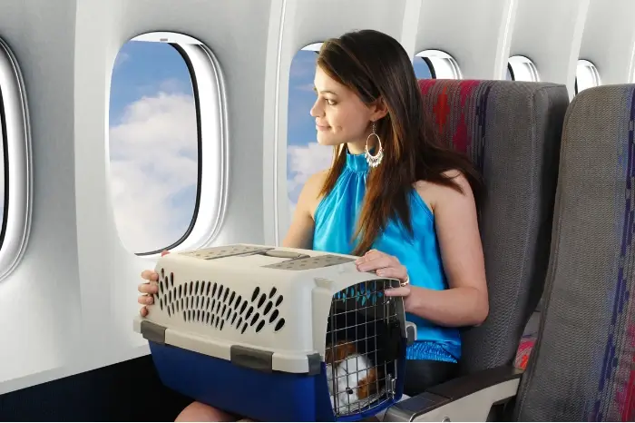 ¿Qué mascotas están permitidas en WestJet?