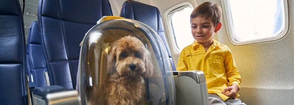 Is Avianca a pet friendly airline?