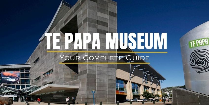 Wellington's Te Papa Museum: Everything You Need to Know