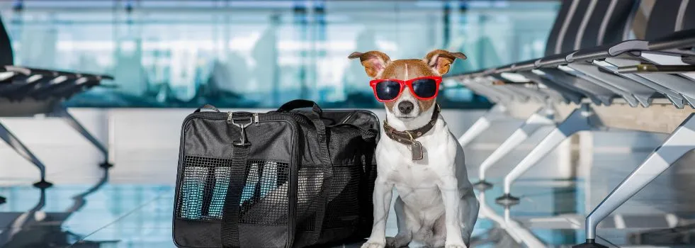 How much do Alaska Airlines charge for pets?