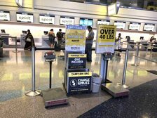 ¿Cómo hago el check-in en línea para un vuelo de Spirit Airlines?